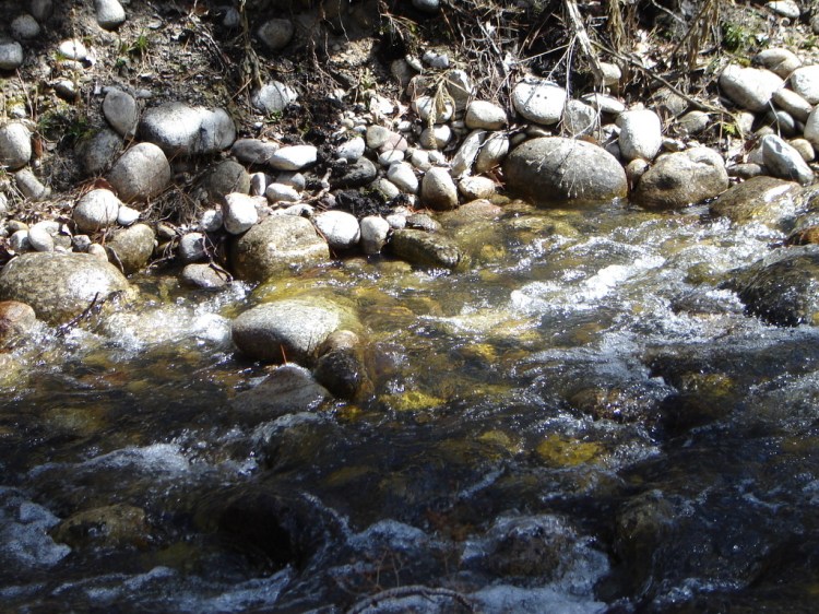 This image has an empty alt attribute; its file name is 0de2e026-1baf-4094-80d3-f3ad377e5cc4_1_105_c.jpeg