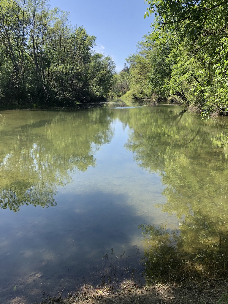 A collection of photos I like